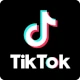 tiktok icon